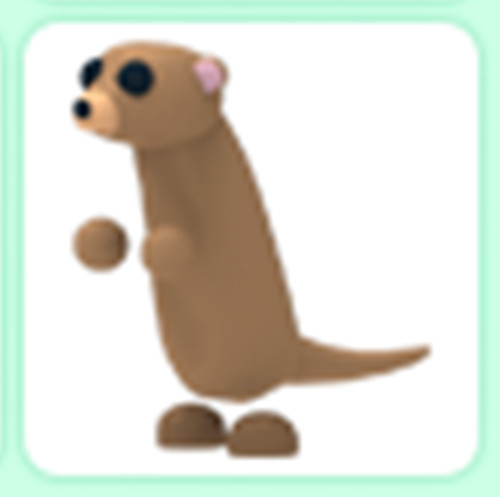 Meerkat -Cheap & Trusted Store!!