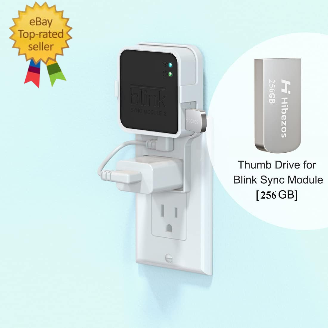 256GB USB Flash Drive and Outlet Mount for Blink Sync Module 2, save Space Easy