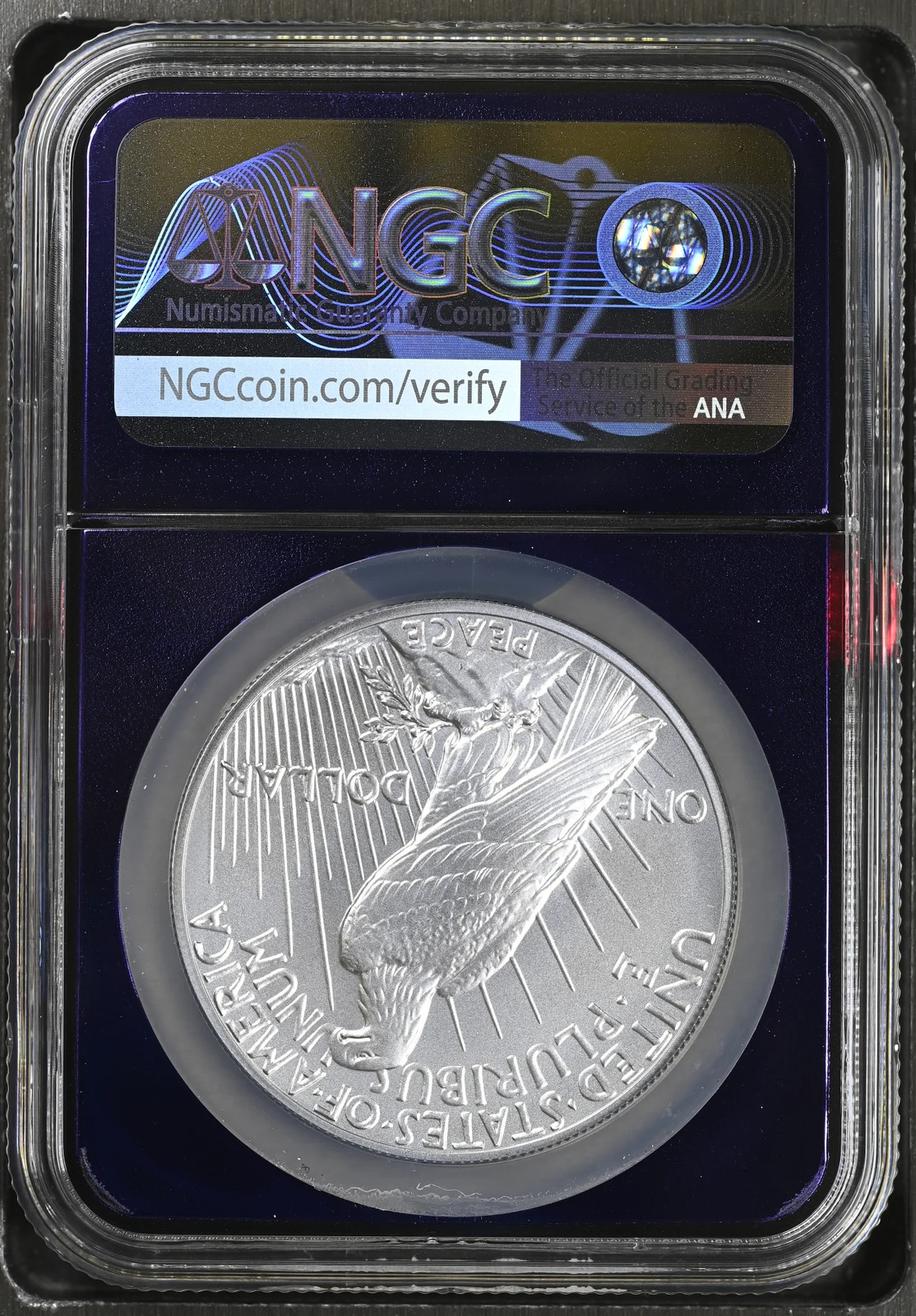 2025 Peace Silver Dollar NGC MS-70 TraderBea Purple Core