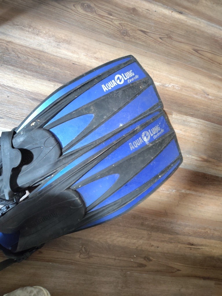 Aqualung Pro