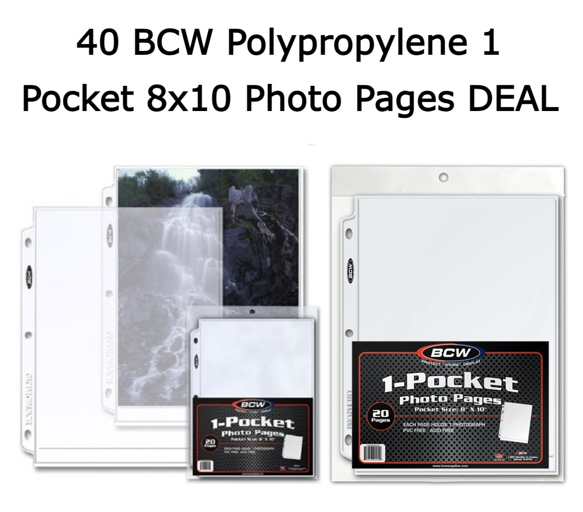 40 BCW Photo Pages Holds 8x10 Prints Archival Quality For 3 Rings Binders Albums
