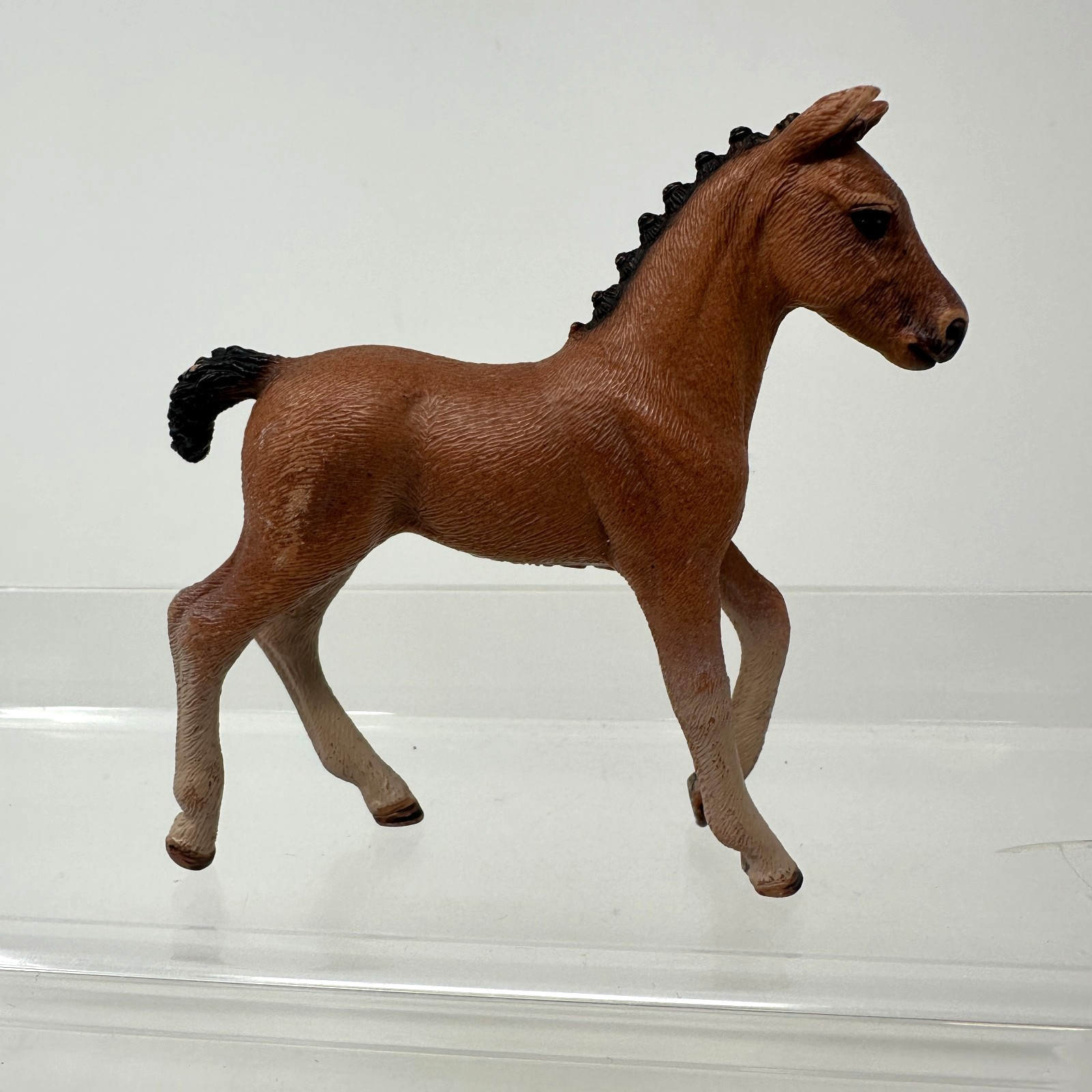 Schleich Hanoverian Foal Bay Baby Horse Animal Figure Brown Toy Figurine 2016 3"