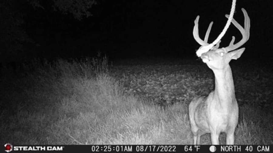 Prowler Trail Camera -16MP - Combo Pack