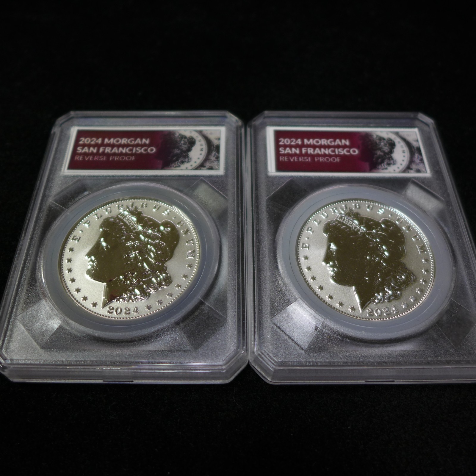 Lot of (2) 2024-S Morgan Silver Dollar .999 Silver Reverse Proof Stock Photo