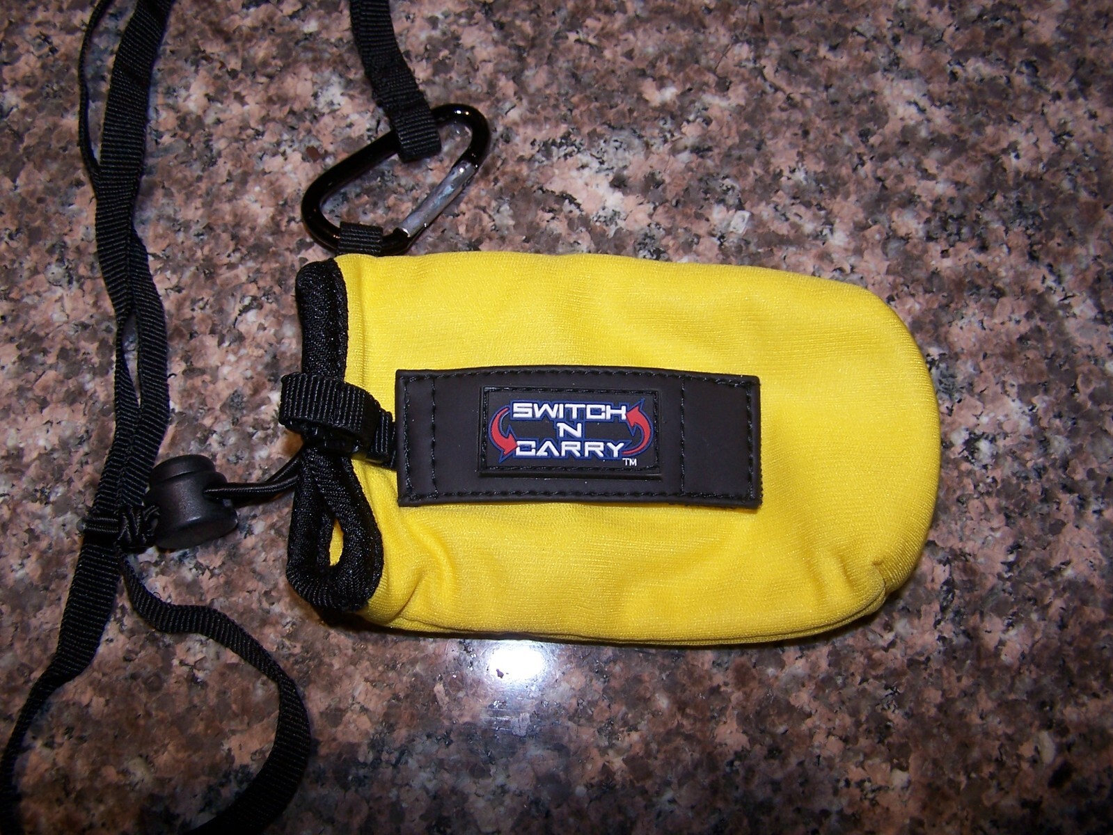 Switch N Carry Pikachu Edition