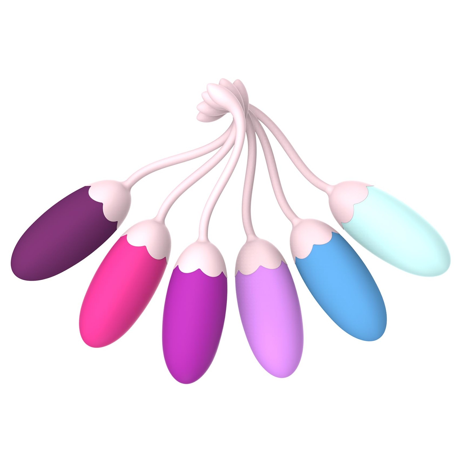 FENHUA Kegel Exercise System–Pelvic Floor Strengthening- Set of 6 Premium