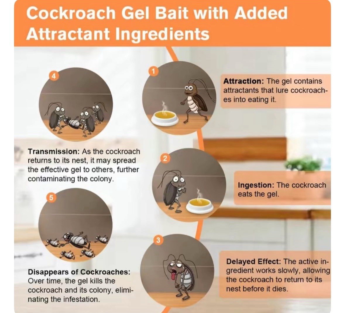 Home Protect Home Safe Clean Indoor Roach Cockroach Clean