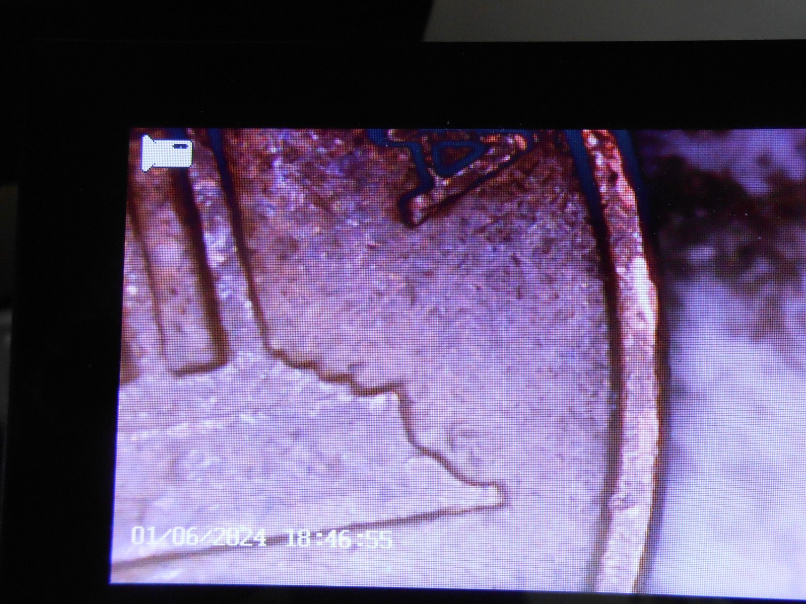 1964 d lincoln cent with errors