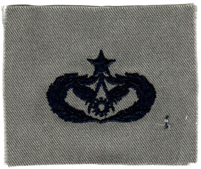 USAF patch (circa 2011-2021) Cloth ABU Senior Civil Engineer Occupational Badge