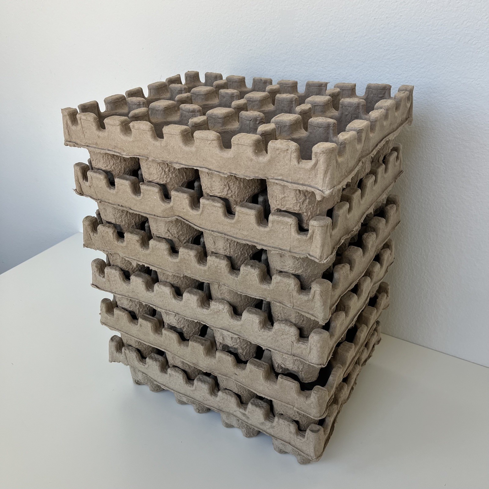 Beer Can Shipping Trays, Pack of 6