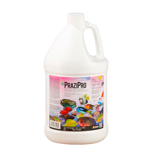 Hikari PraziPro Parasite Treatment, 1 Gallon