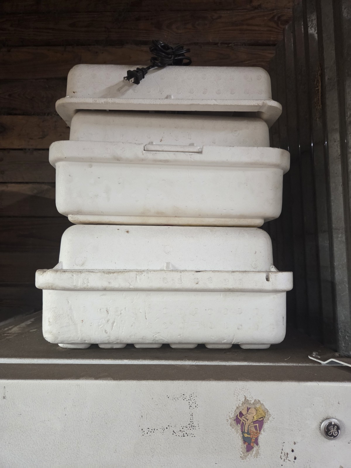 Little Giant 9300 Still Air Incubator