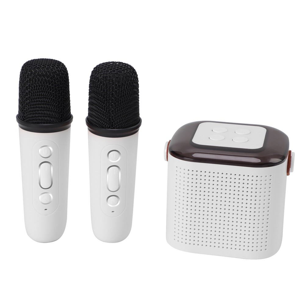 Portable White Bluetooth Karaoke Speaker Machine Kids Mics