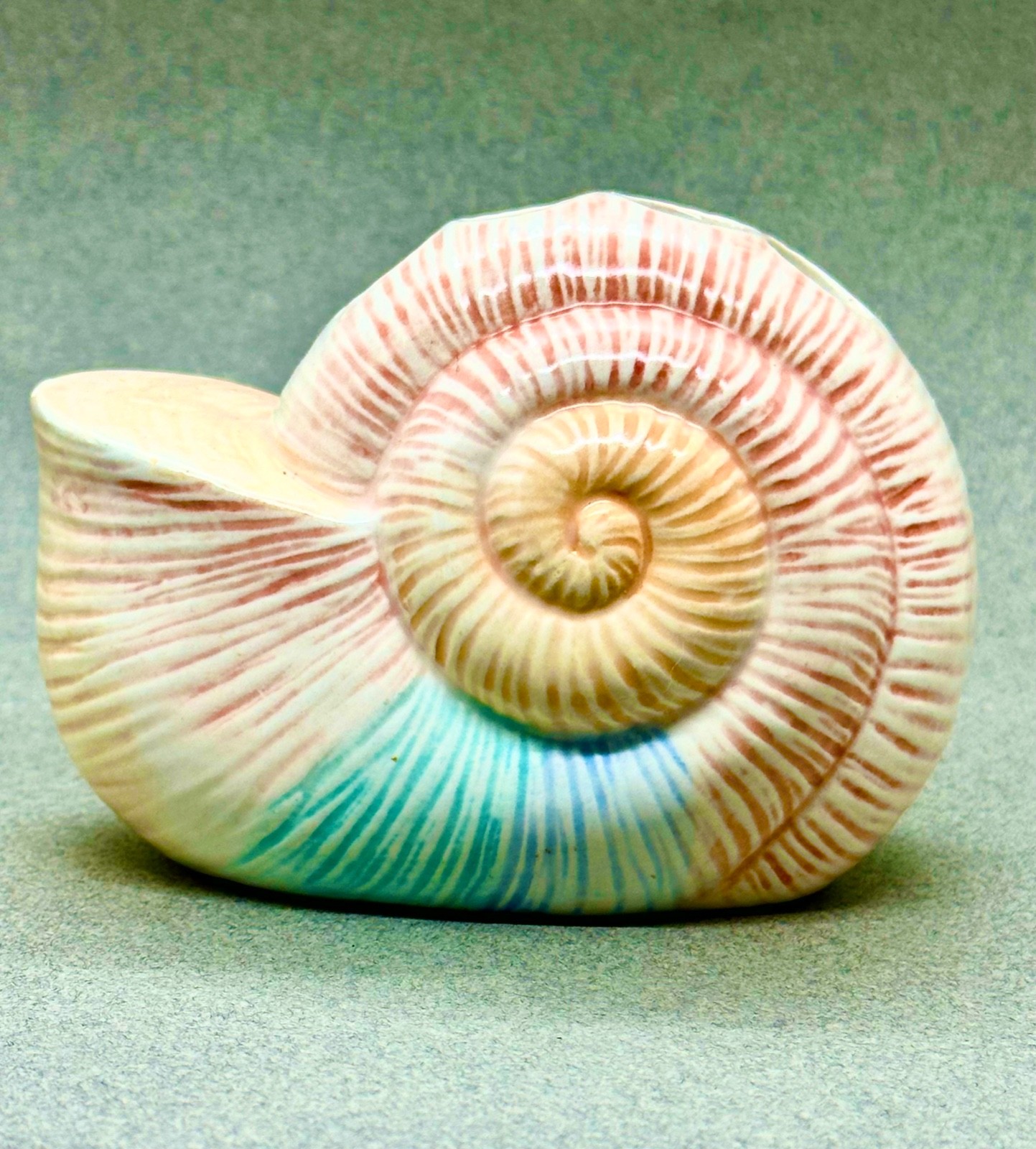 Springs China Ceramic Seashell Toothbrush Holder Pink Blue Free shipping! CP13