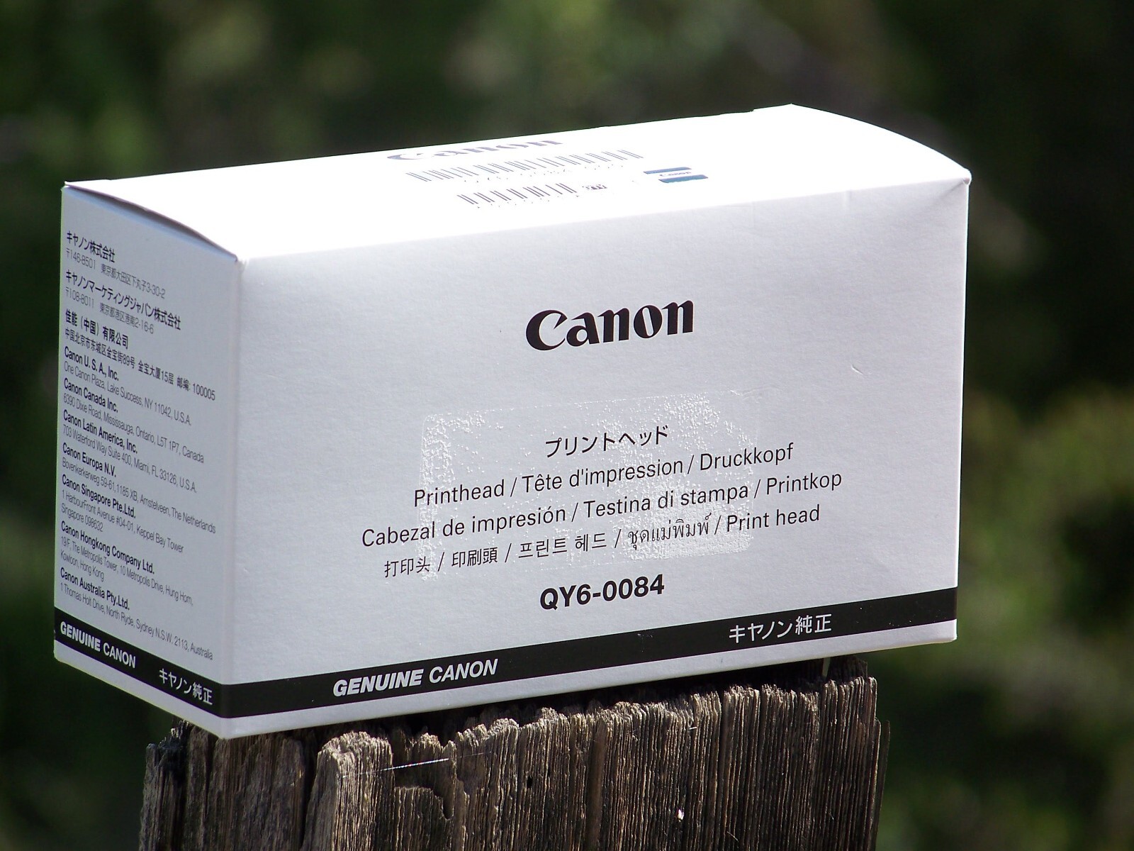 New Genuine Canon QY6-0084-020 printhead  for Pixma PRO-100, 100s, PRO-200, 200s