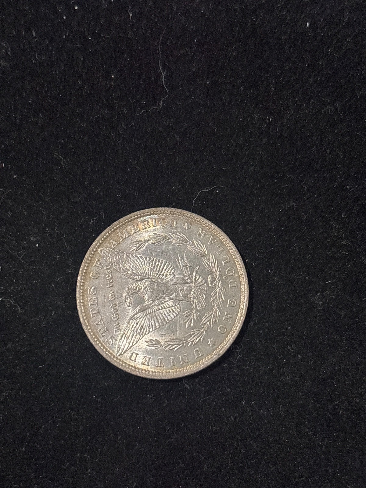 Morgan Silver Dollar 1882 O