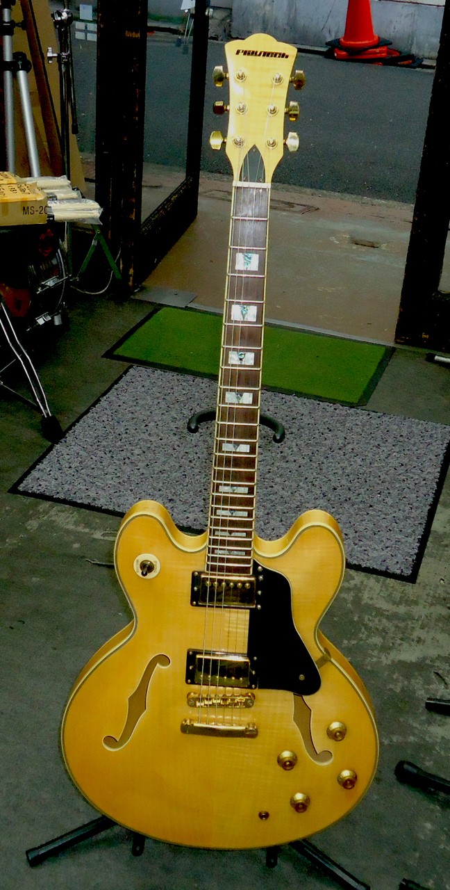 PLAYTECH SA-500 Flame Natural