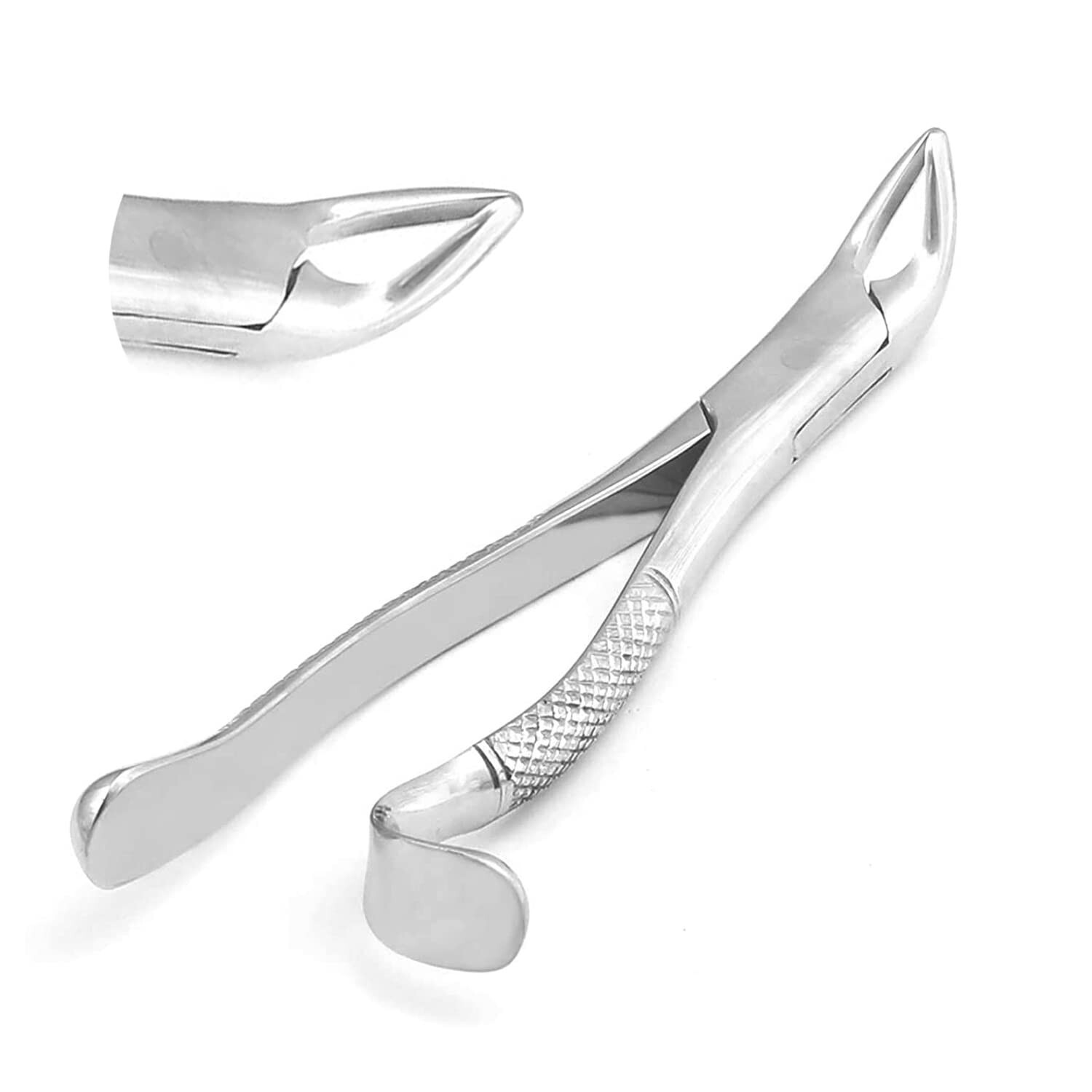 Extracting Forceps# 288 Surgical Dental Instruments