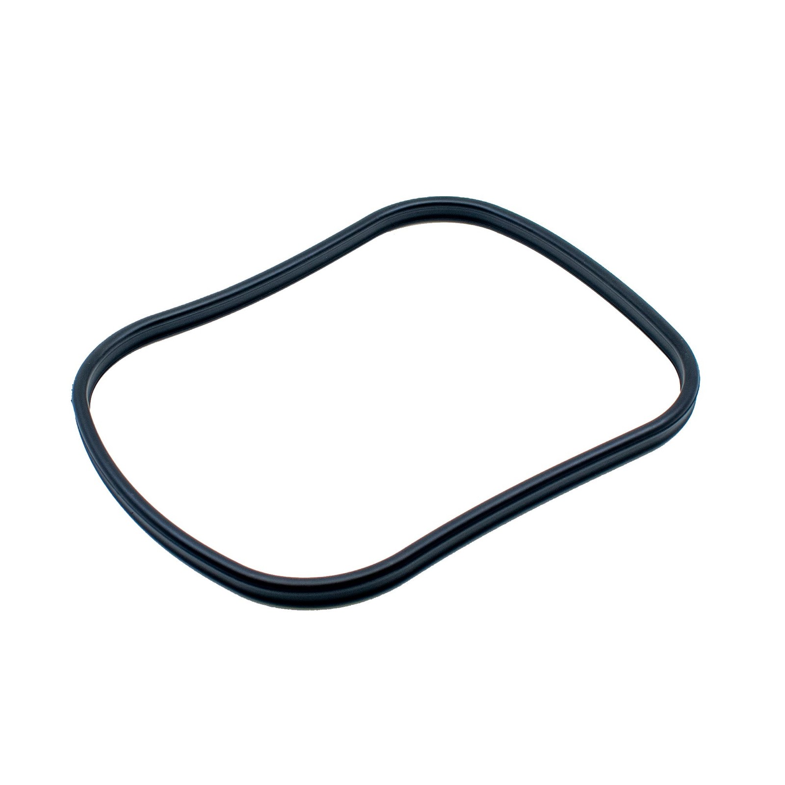 Oase Main Gasket for BioMaster & BioMaster Thermo Filters