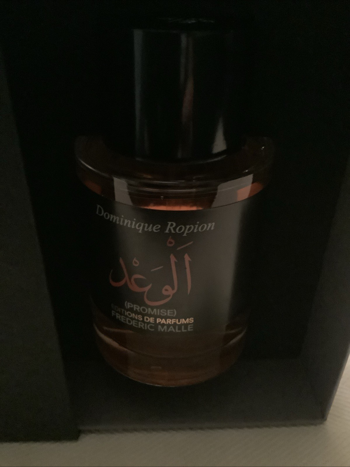 Promise Eau de Parfum 100 ml 3.4 Fl Oz