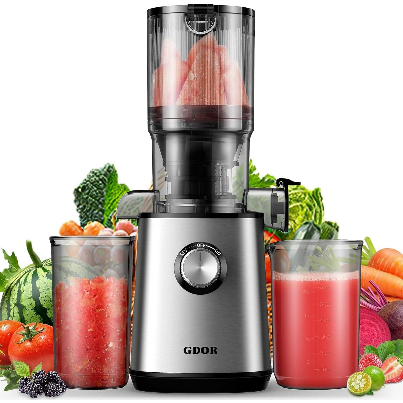 2026 Cold Press Juicer Machine 4.25'' Feed Chute Masticating Fruits /Vegetables