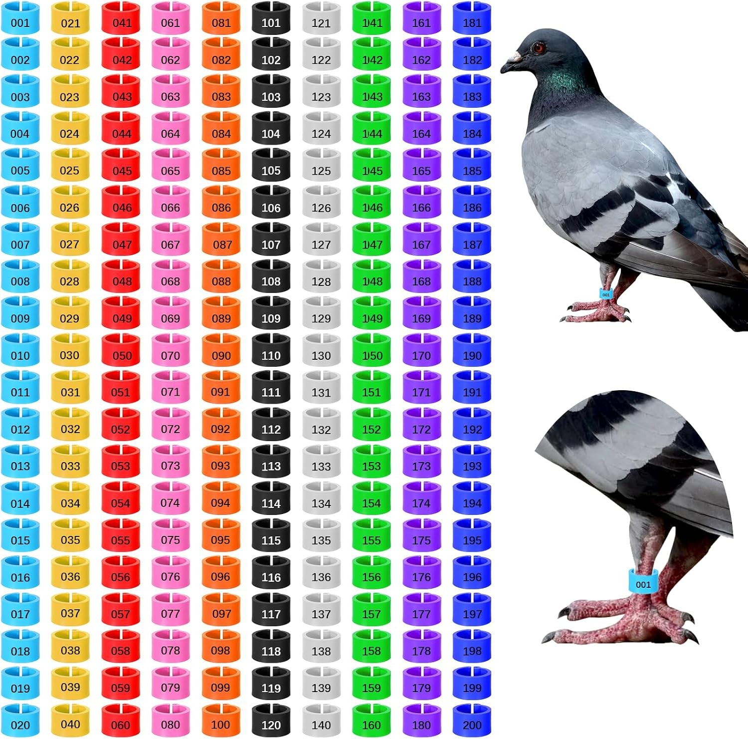 8mm Numbered Bird Quail Leg Bands Colorful