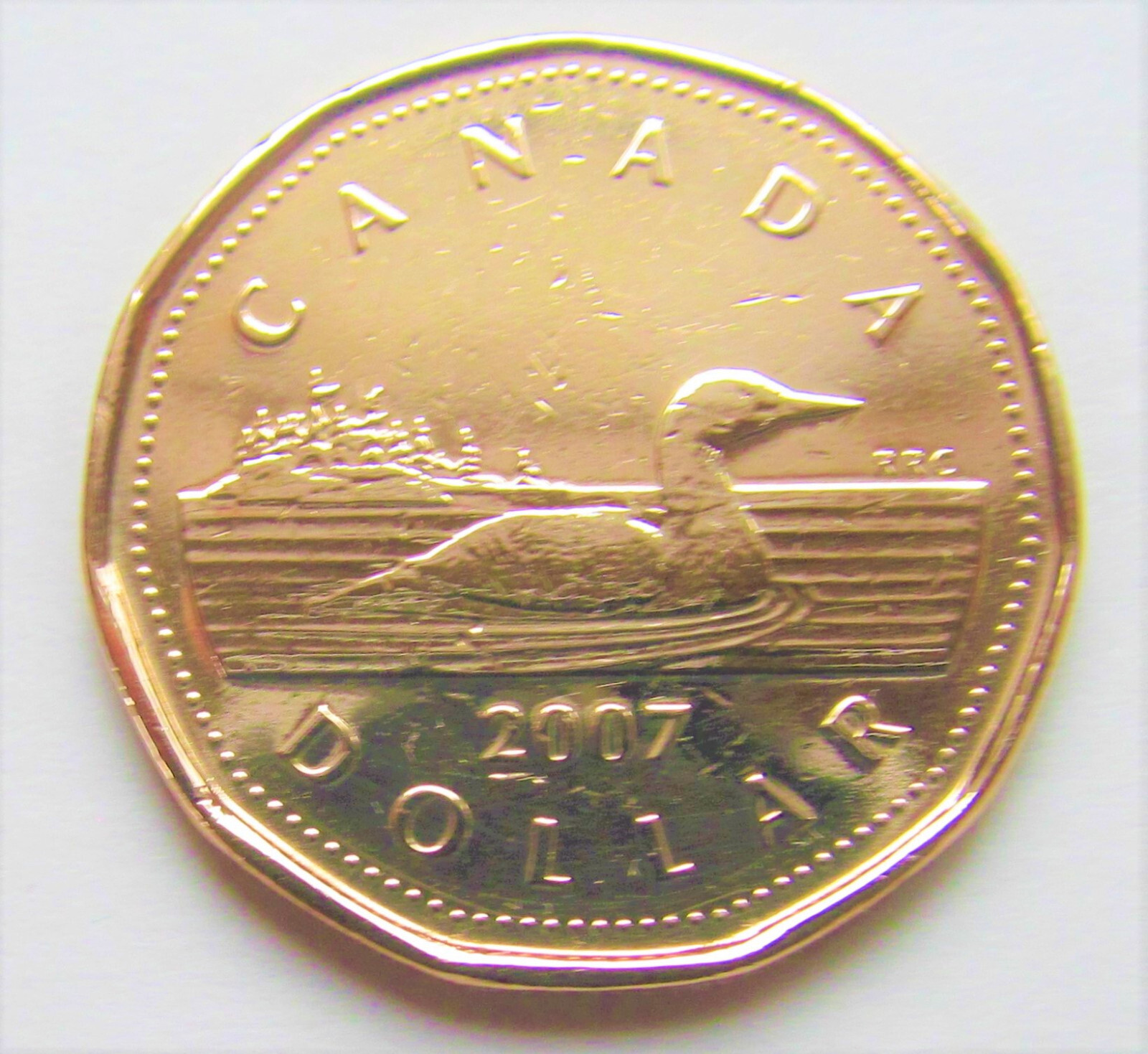 2007 CANADA 1 DOLLAR LOONIE - combined shipping