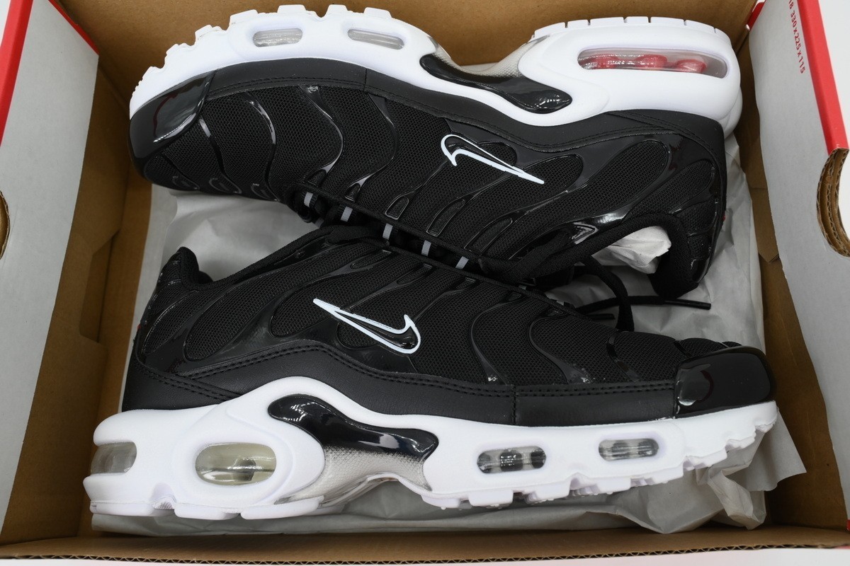 Nike Air Max Plus 'Black White' Men's DM2362-001