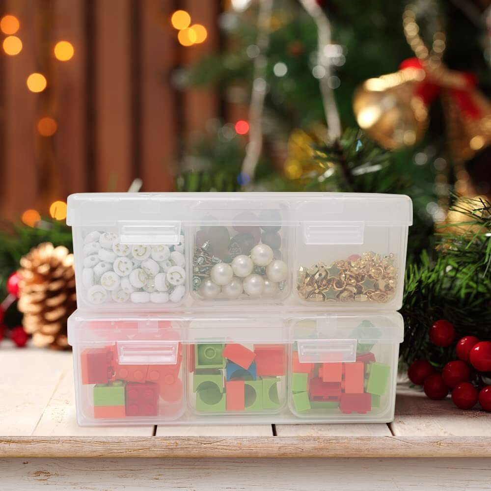 Large Clear Storage Box with 12 Pcs Small Bead Organizers Cases with Hinged Lid