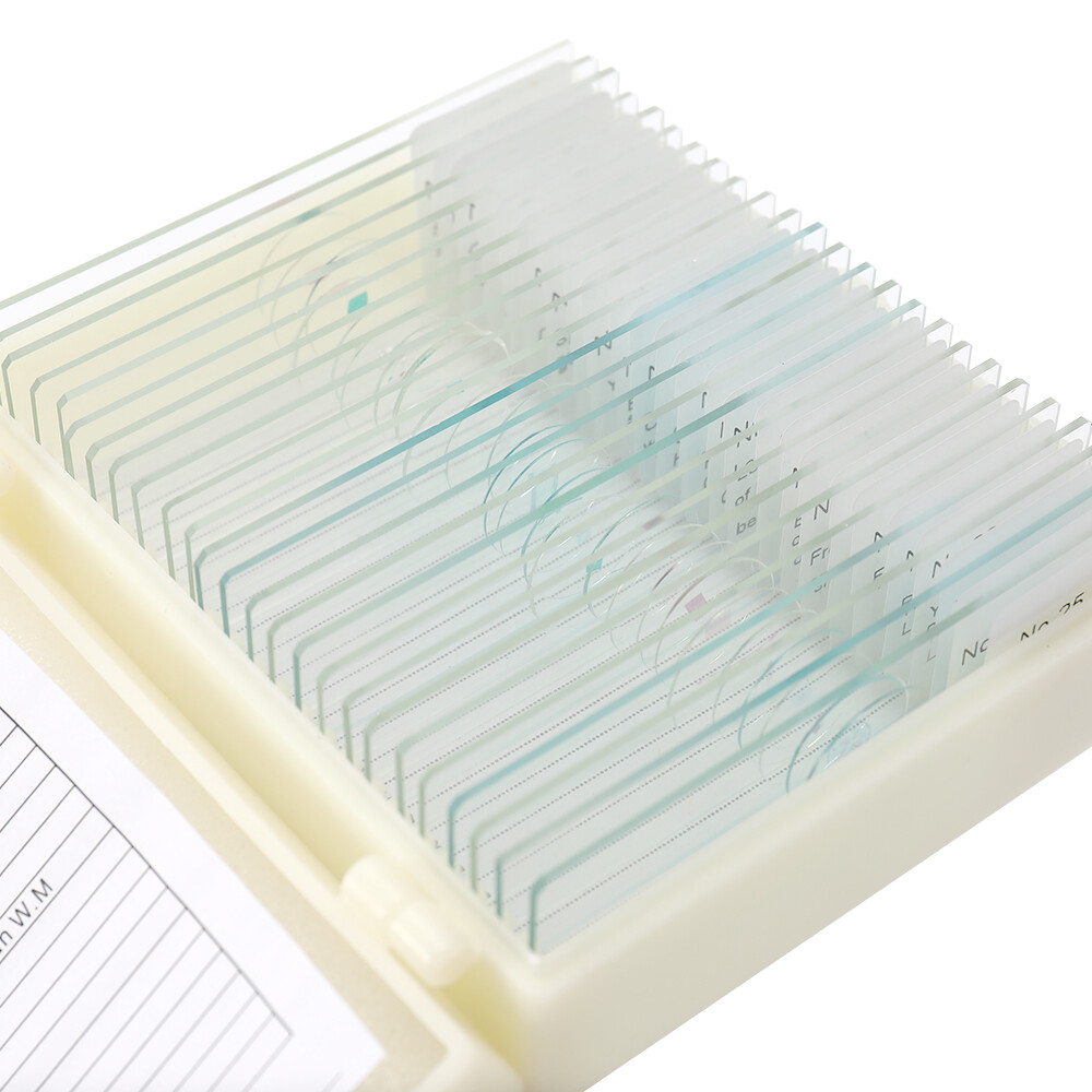 25PCS Animal Plants Insects Tissues Cover Slips Microscope Slides L4P4