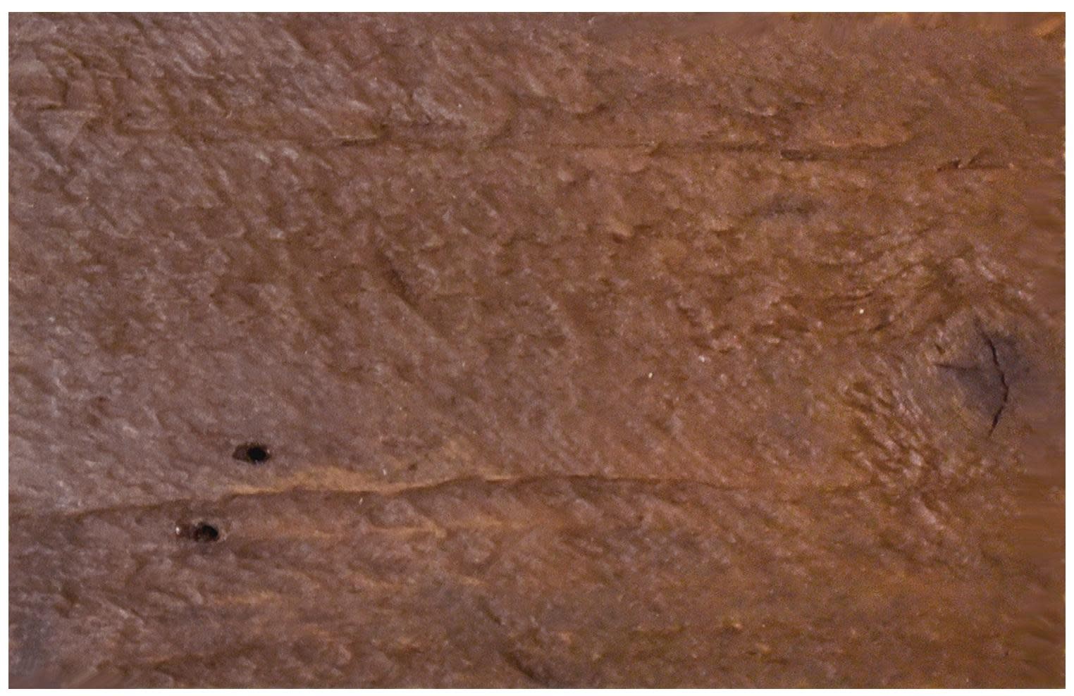Native Trails DS80 Americana Finish Sample - Chestnut