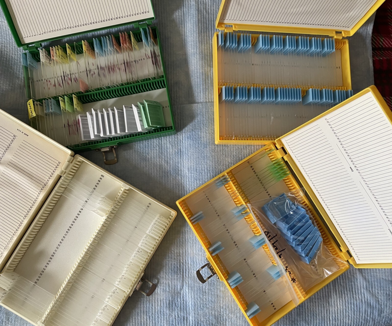 Four Microscope storage boxes with mouse tissues slides, 14,15,16,17
