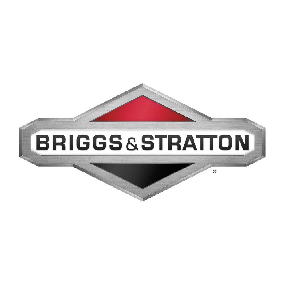 Briggs & Stratton 21R807-0090-G1 Vertical INTEK Engine