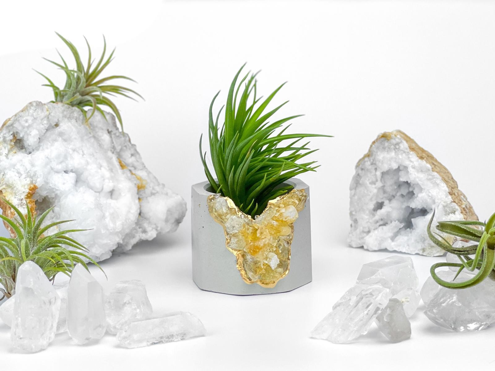 Raw Citrine Succulent Geode Planter Crystal Air Plant Holder