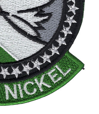 555th Fighter Squadron Patch