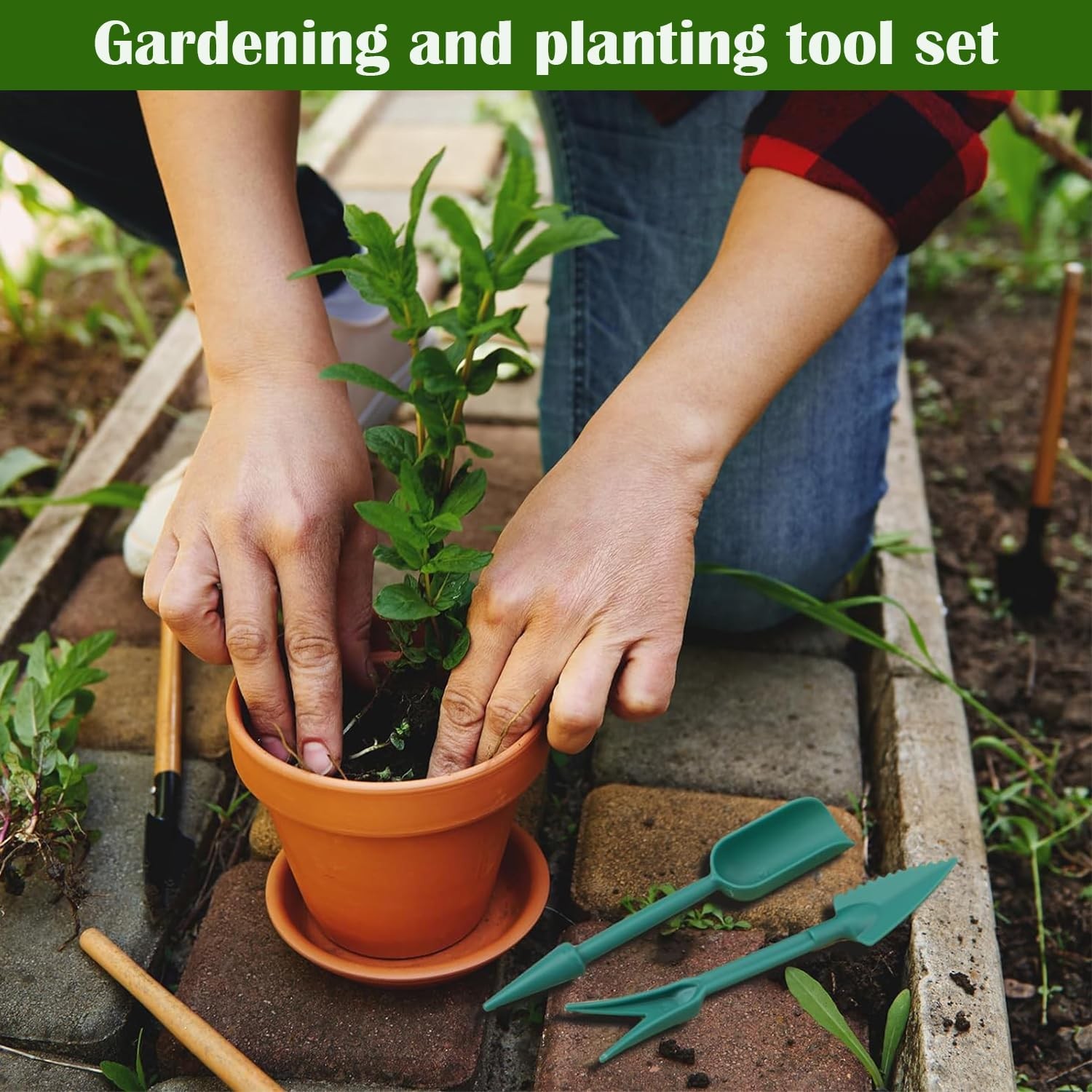 17 PCS Mini Seed Spreader, New Gardening Spreaders, Sowing Gerrn