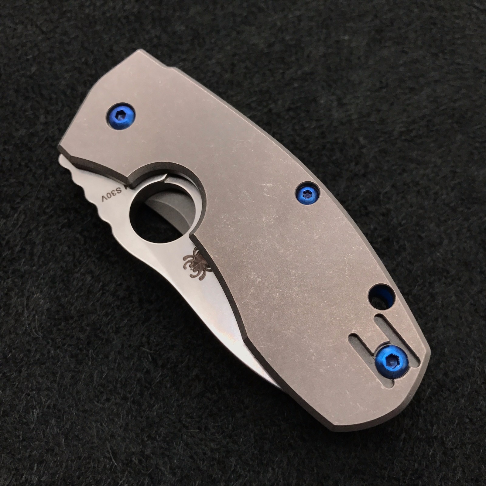 Blue Titanium Screw Set (NO KNIFE) for Spyderco Techno (6) ~ C158TIP