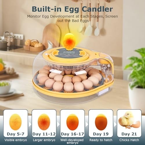 Incubators for Hatching Eggs, Egg Incubator with Automatic Egg Turning and Humid