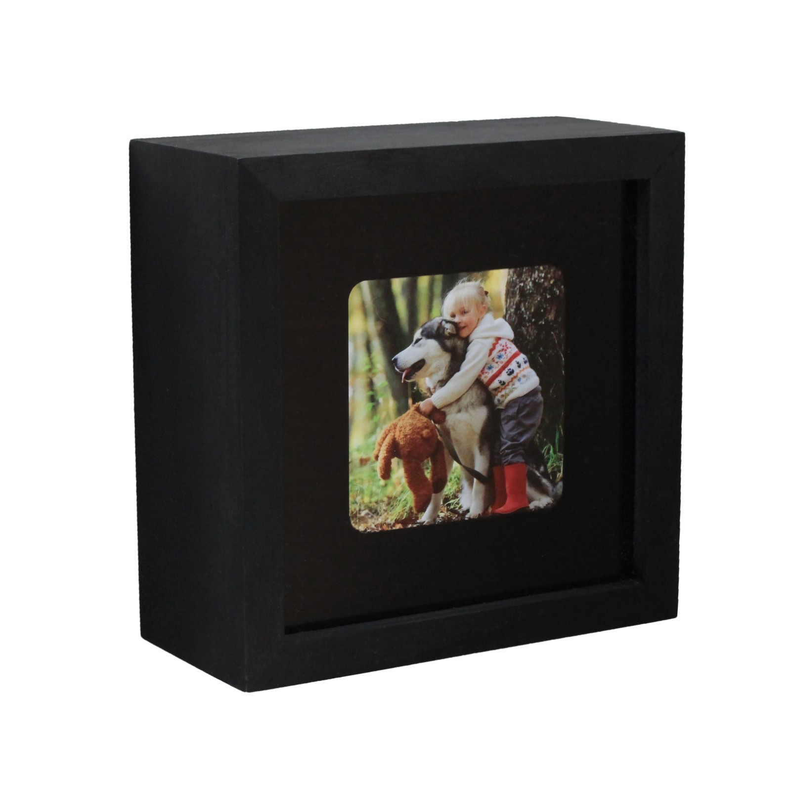 Conceal-a-Cam Camera Enclosure - Black