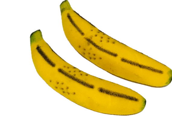 MULTIPLYING SPONGE BANANAS 2 Foam Magic Trick Clown Fruit Funny Stage Comedy Set