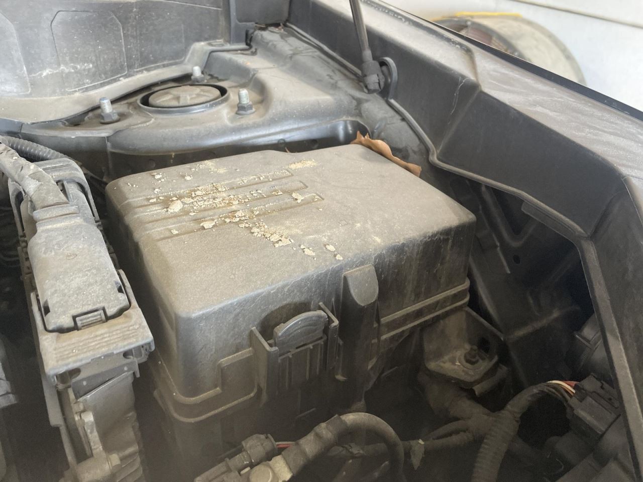 Camera/Projector Camera Windshield Upper Center Fits 20-22 TELLURIDE 1046616