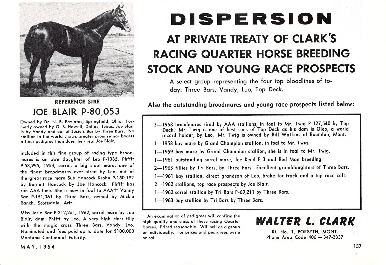 Walter L Clark Racing Quarter Horses Stock Forsyth Montana 1964 Vtg Mag Print Ad
