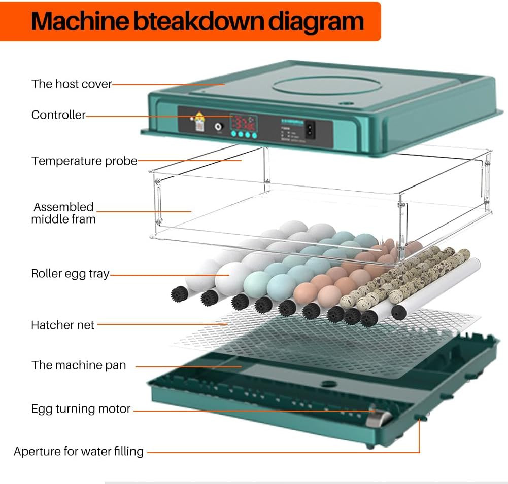 Automatic Egg Incubator 12-38 Egg Digital Poultry Hatcher Machine Ith Automatic