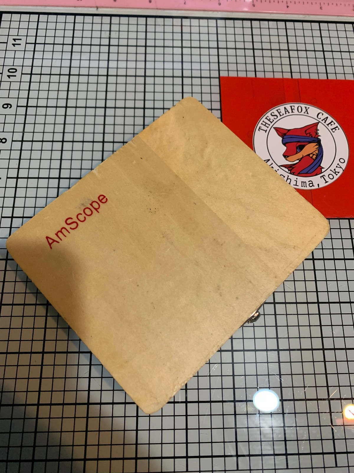 AmScope PS25W 25 Glass Prepared Microscope Slides with Wooden Box, Unused