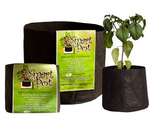 Smart Pot, 65 gal, 32 x 18
