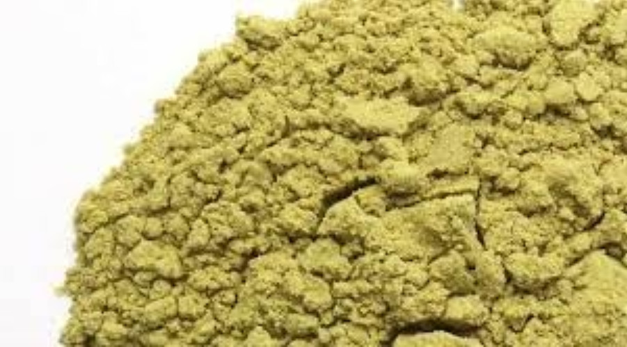 Pumpkin Seed Powder (Cucurbita pepo) NY Spice Premium Quality