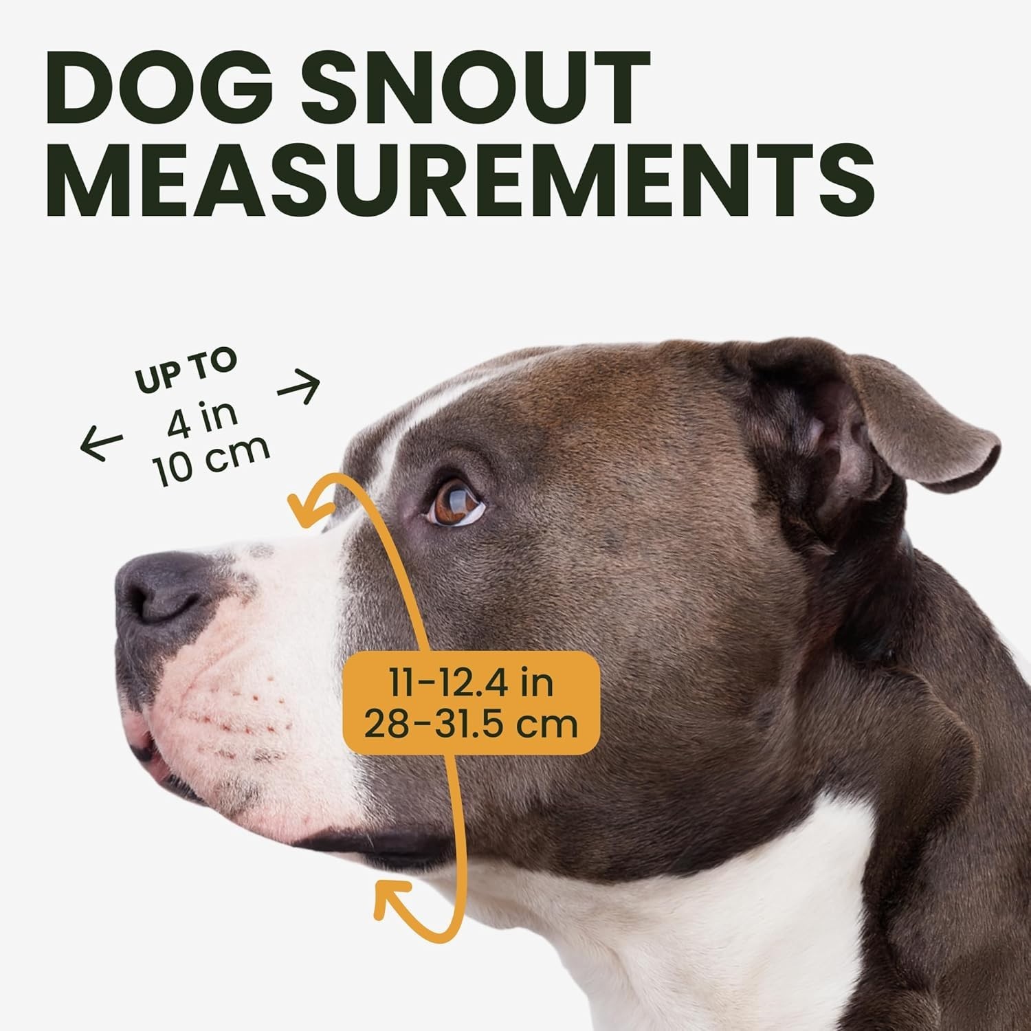 Adjustable Dog Muzzle for Pitbulls & Amstaff - Safe & Breathable Design