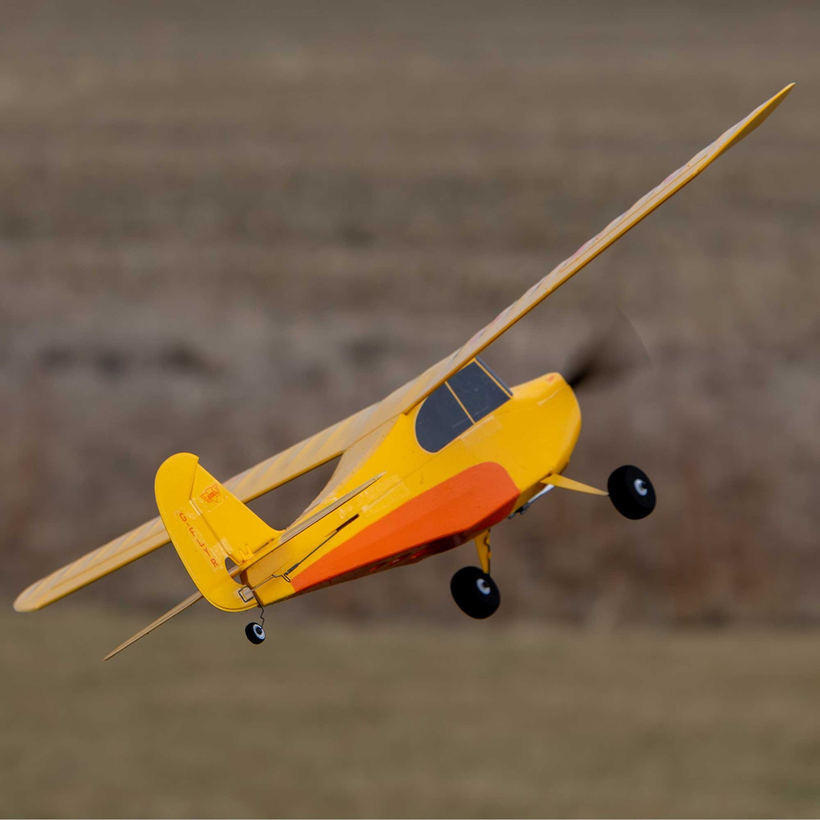HobbyZone Champ Anniversary Special Edition 515mm BNF Basic with SAFE Select