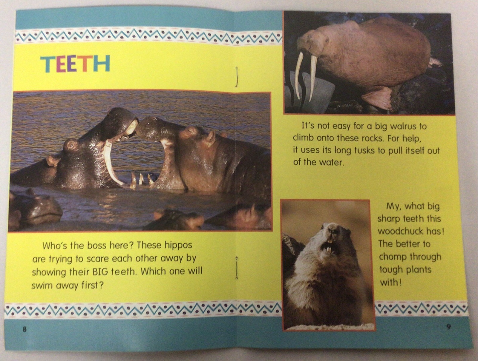 Scholastic Book - I Can Read Science Library - Set of 9 - SSL3