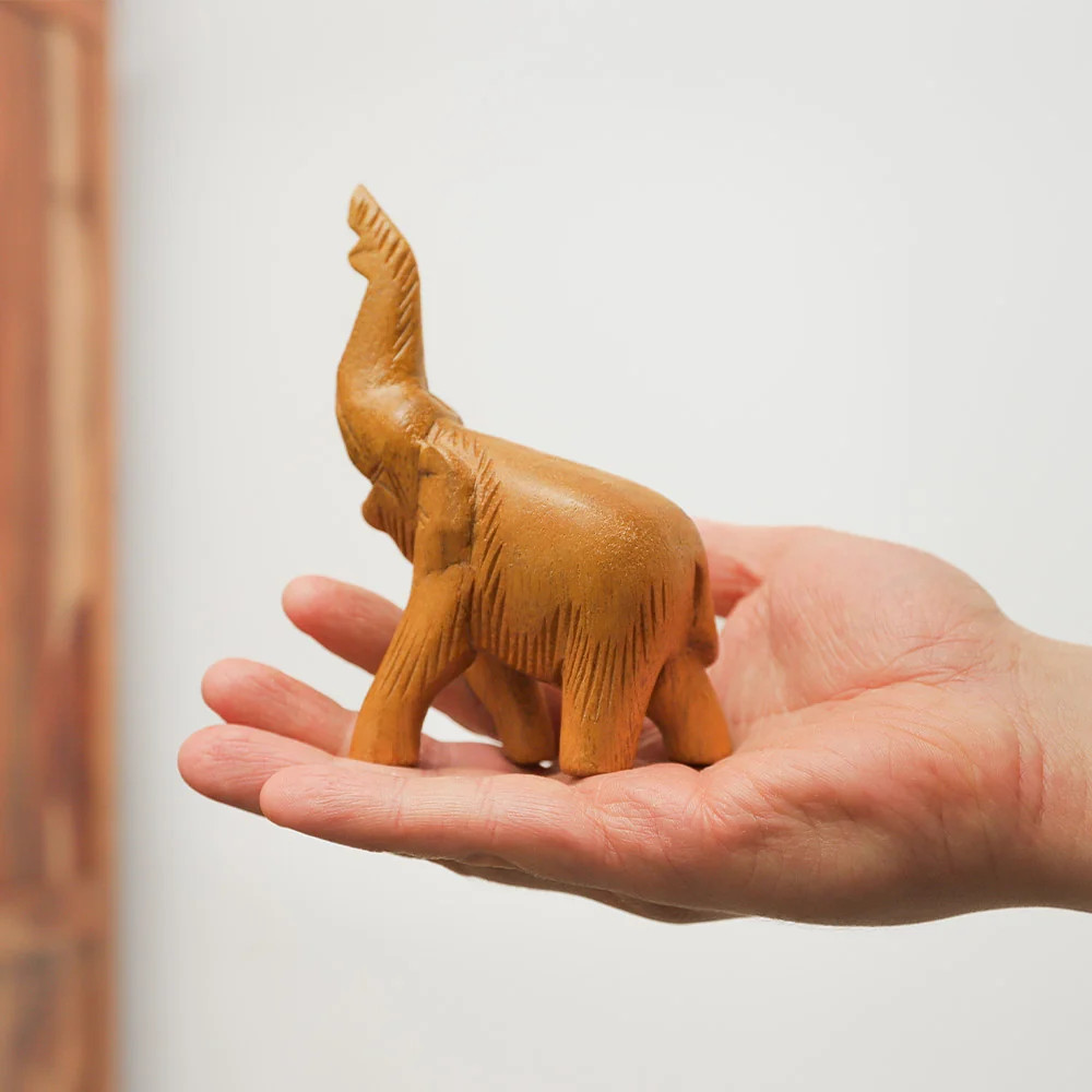 Noisy Elephant Whistle